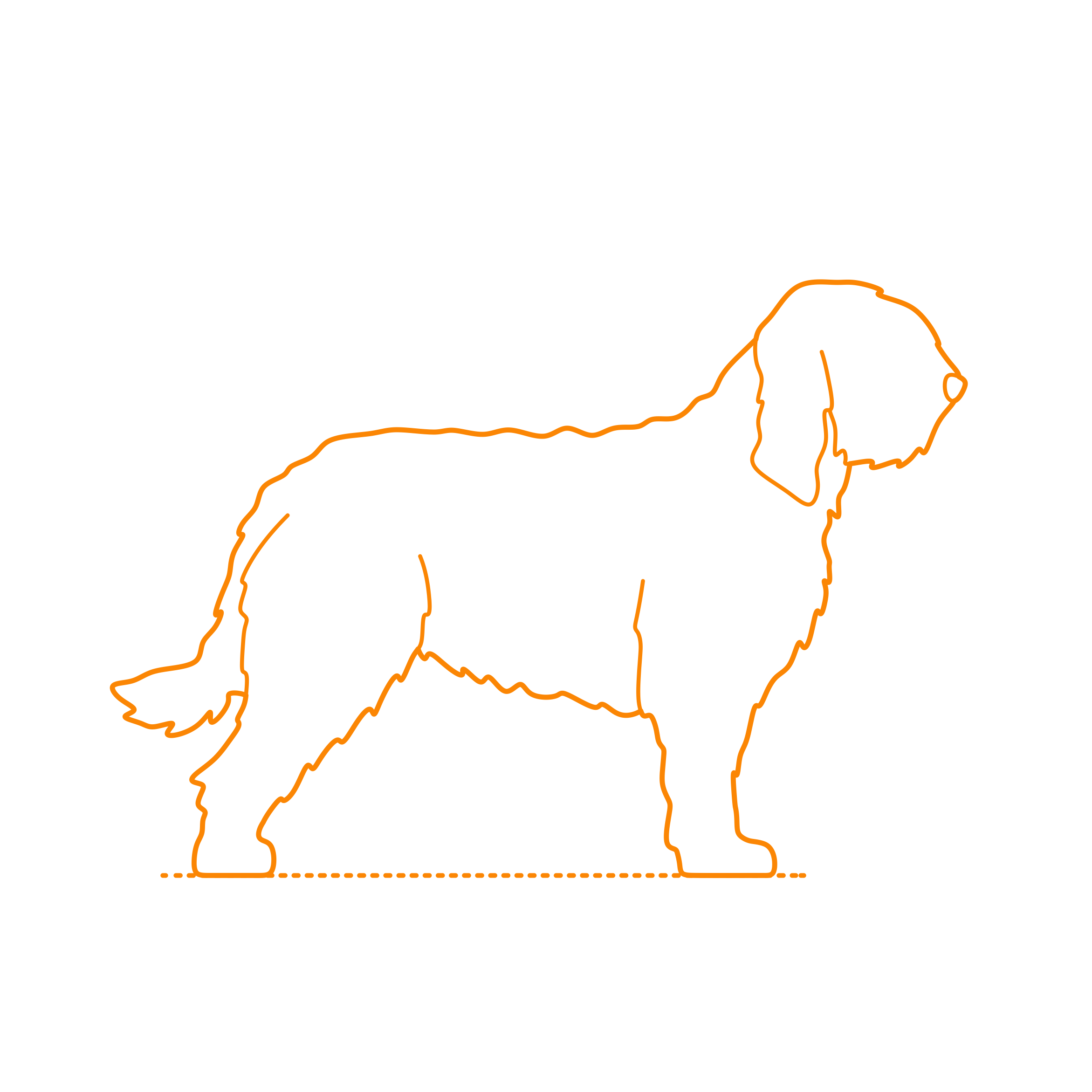 Animals Dogs Otterhound Outline Svg File Free Vectors